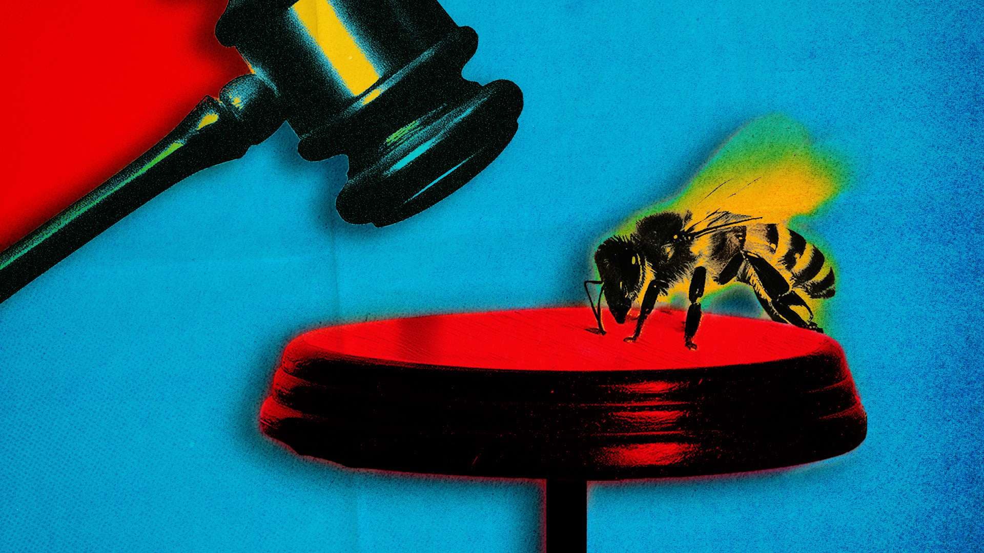 Court Rules Bees Are Animals; Administration Seeks Approval for Mail Voting Order